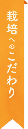 栽培へのこだわり